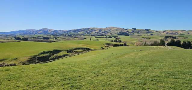 565 Bushy Park Road Waikaka_2