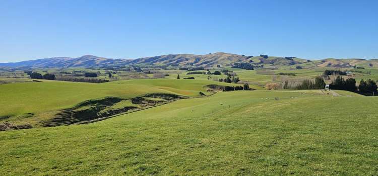 565 Bushy Park Road Waikaka_2