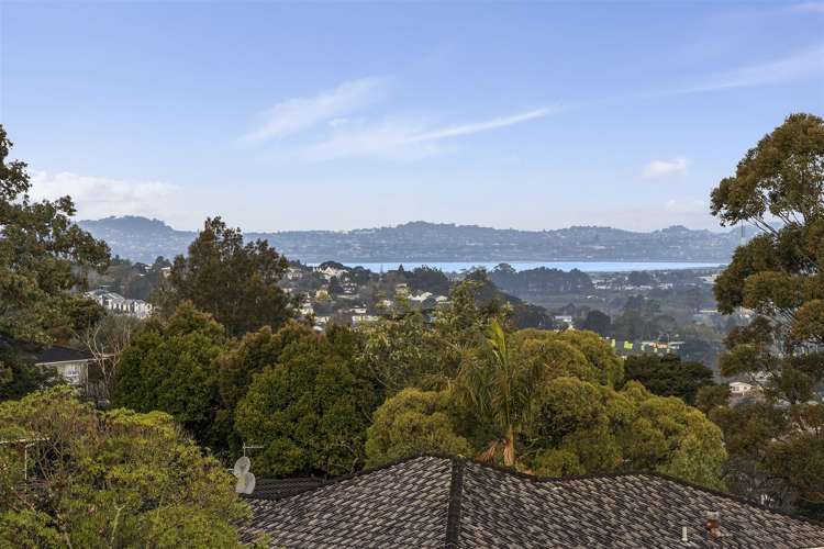 25 Cyclarama Crescent Massey_28