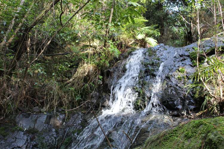 632a Sawyer Road Mangonui_28