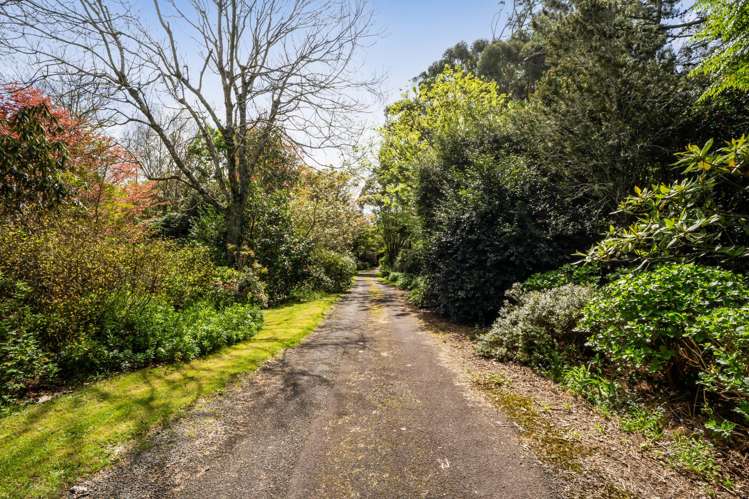 1405 South Road Kaitake_35