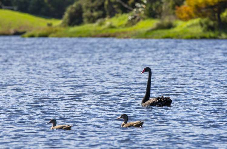 75 Robert Hastie Drive Mangawhai_7