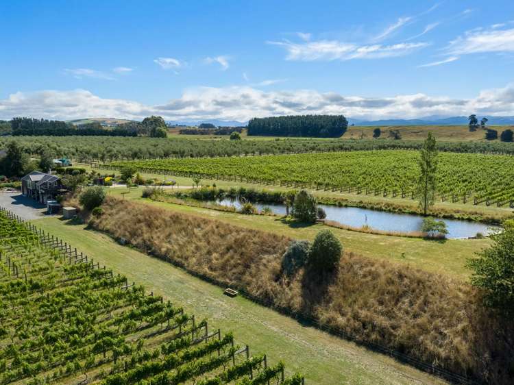 224 Dakins Road East Taratahi_29