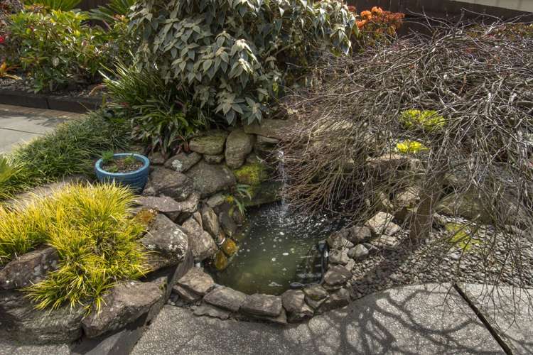 22 Honeysuckle Lane Ohauiti_18