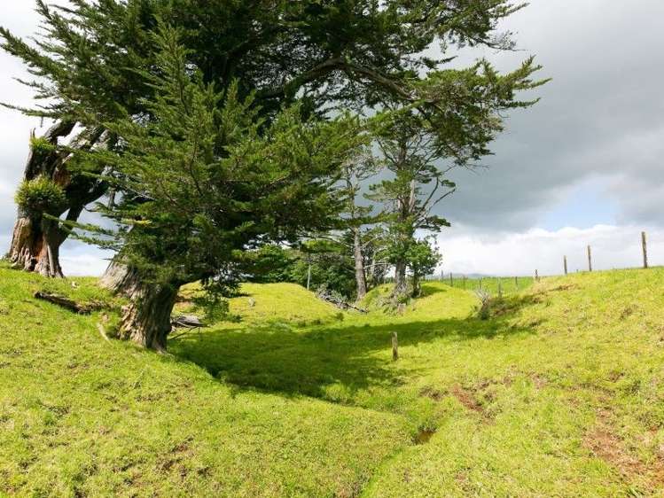 218 Dudley Road Inglewood_46