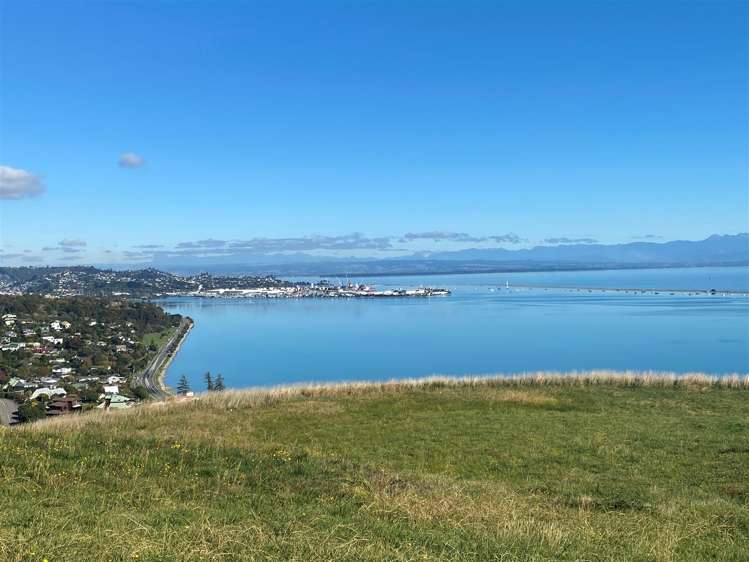 113 Bay View Road Atawhai_5