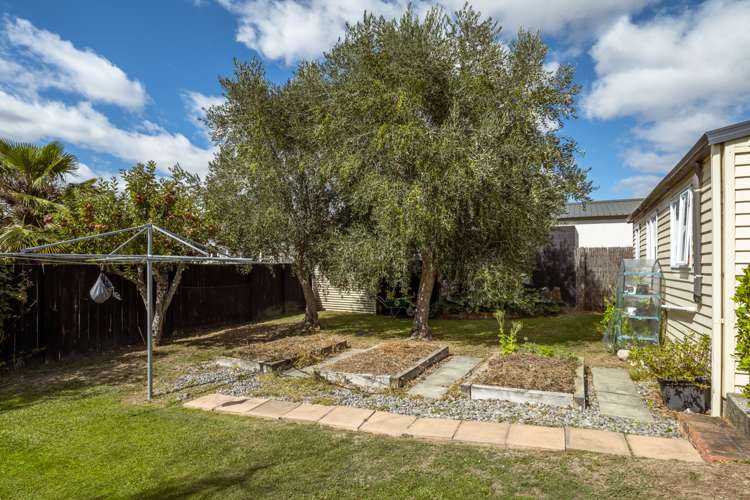 213 Howick Road Witherlea_22