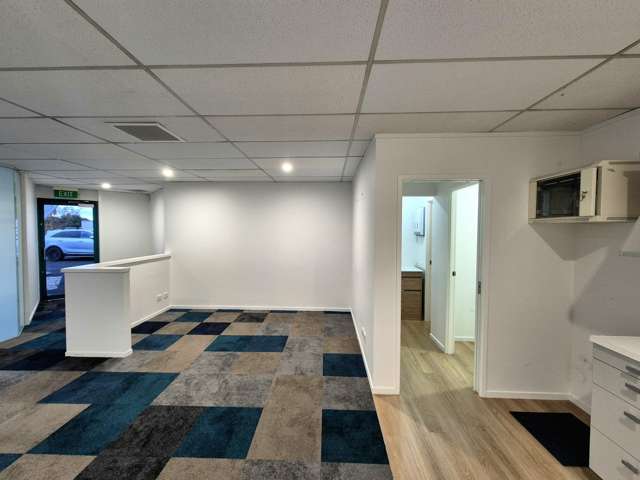 2/3 Delta Avenue New Lynn_3
