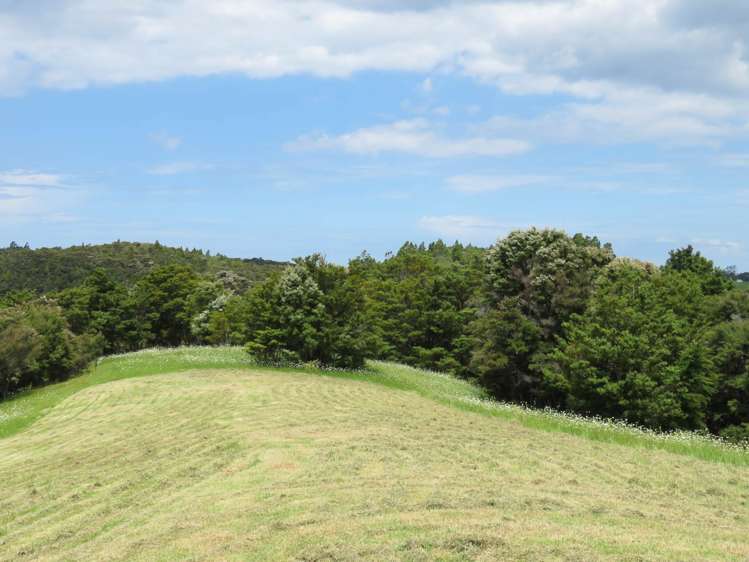 Pataua North Road Pataua_19