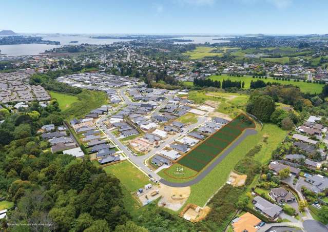 134 Quail Ridge Ohauiti_4