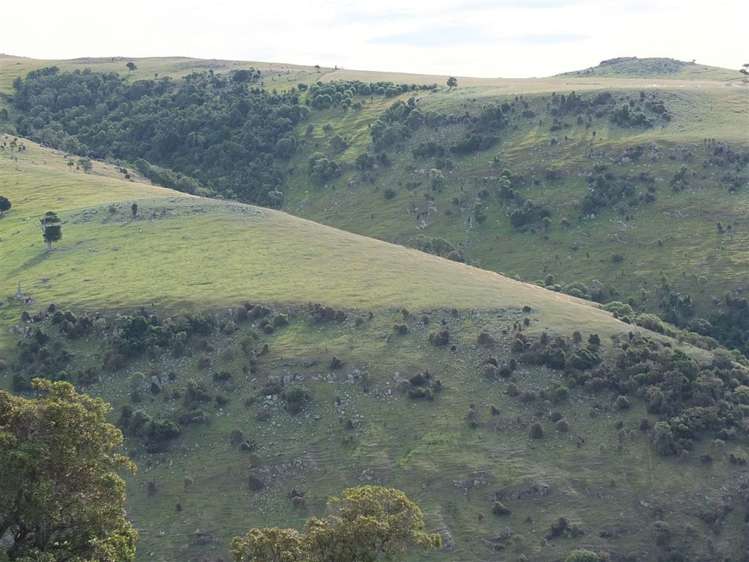 831 Chorlton Road Little Akaloa_29