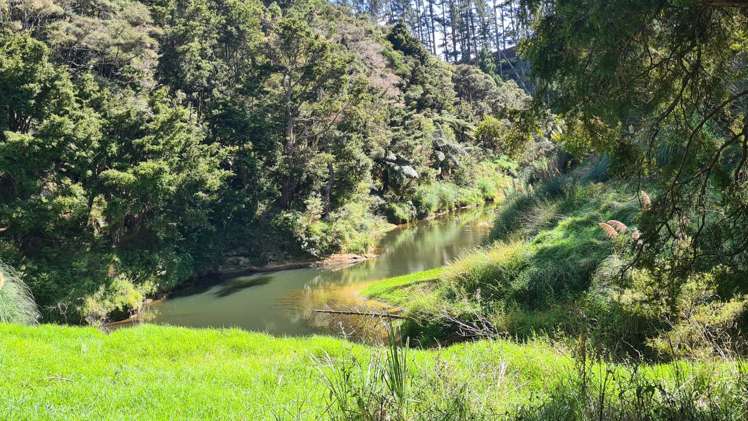 297A Wilson Road Wellsford_5