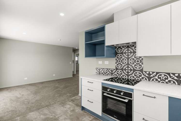 17 Havelock Street Linwood_17