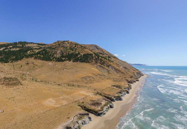 Waitangi Road Waimarama_5