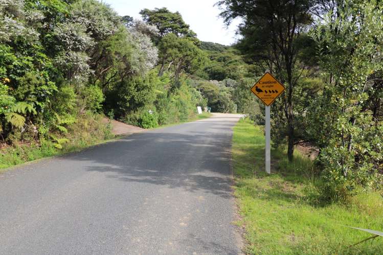 689 Whangaparapara Road Great Barrier Island (Aotea Island)_23