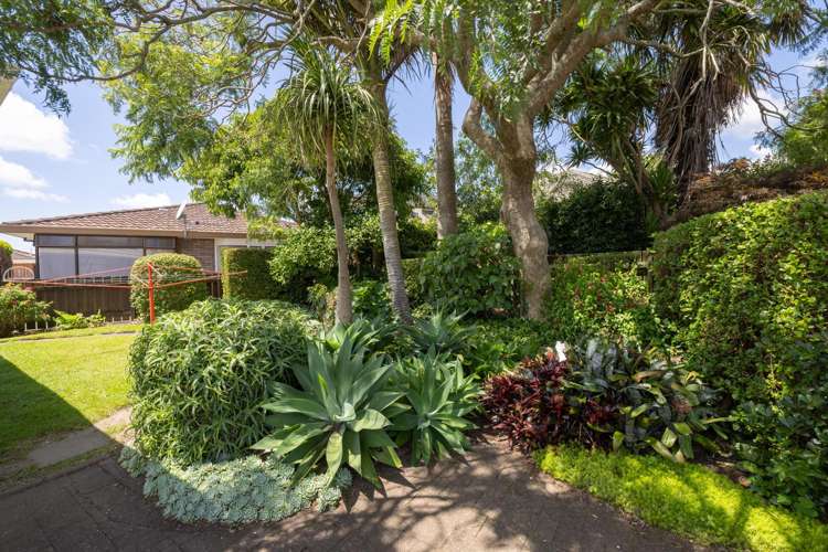 12 Tekoah Place Judea_17