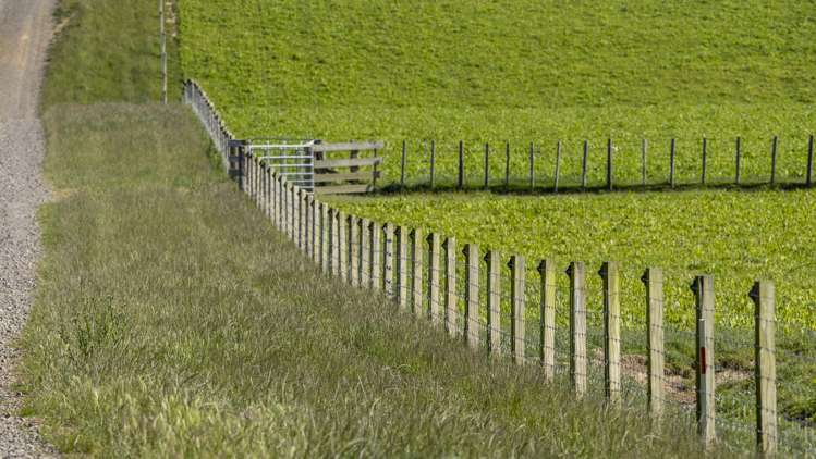 188 Burnetts Road Kaituna_8