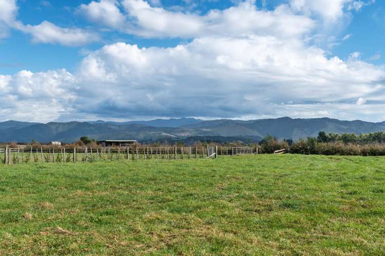 3 Nicholson Road Carterton_15