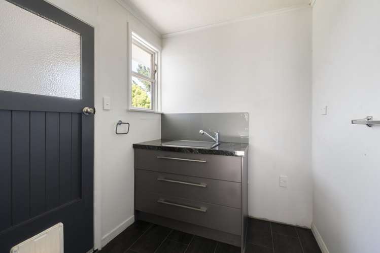 22 Ward Street Bulls_6