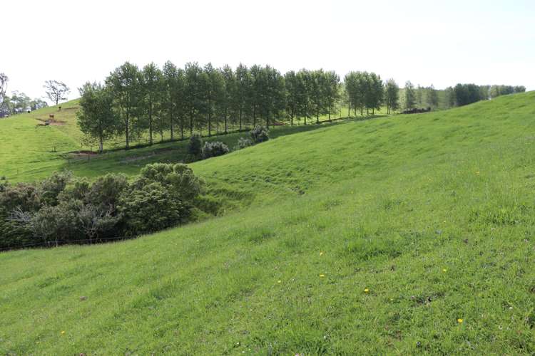 346 Lincoln Road Inglewood_8