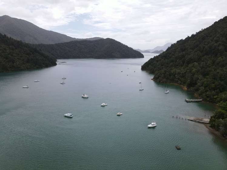 11 Nikau Street Duncan Bay_9