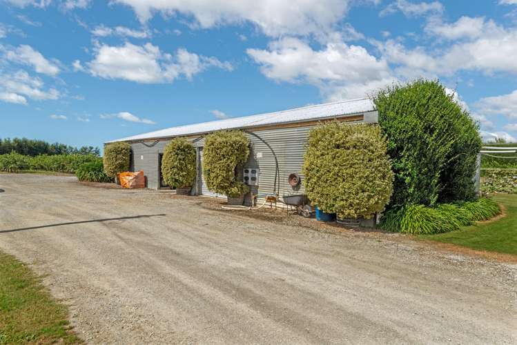 34 Bell Road Matawhero_21