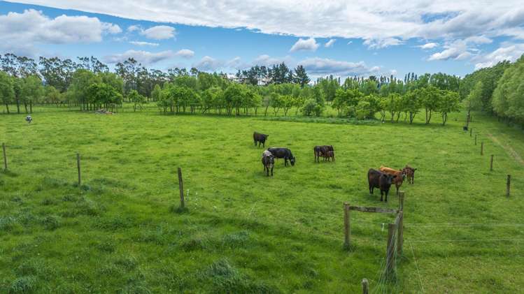 420A Woodfields Road Swannanoa_7