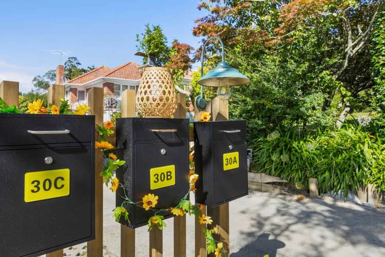 30A Umere Crescent Ellerslie_1