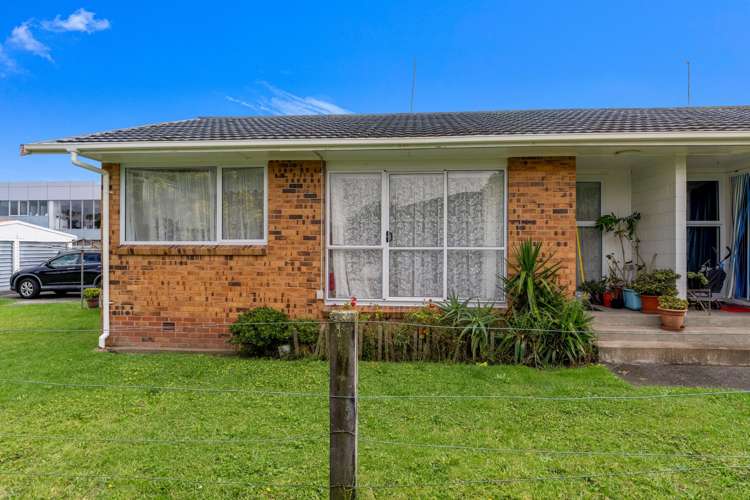 302 Rosebank Road Avondale_10