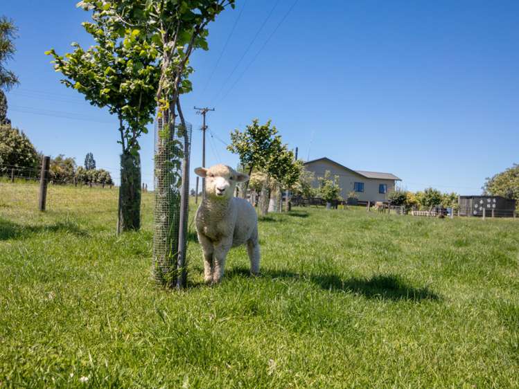 6 Steam Wharf Road Grovetown_22