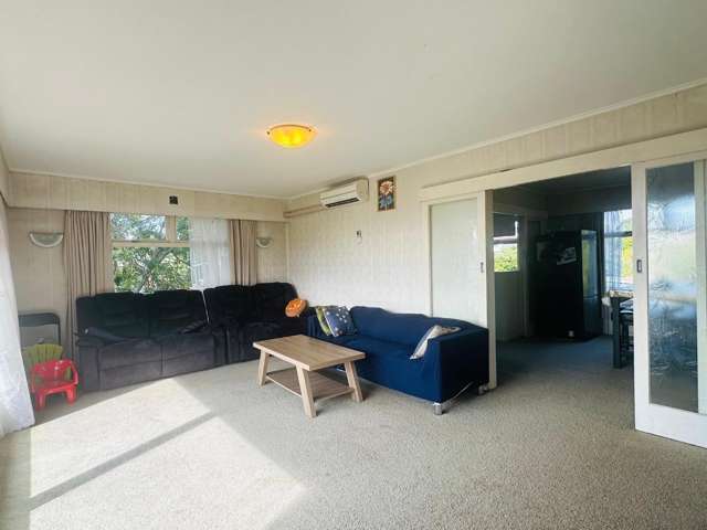 4 Catton Crescent Mount Roskill_2