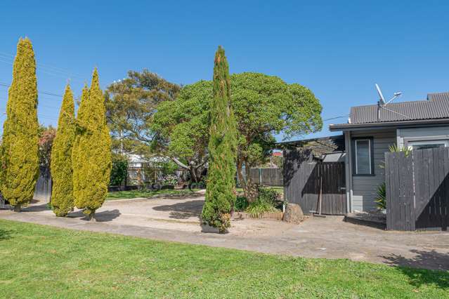 58 Alma Road Gonville_1