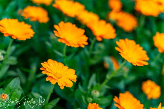 70 Jellicoe Road Ruawai_3