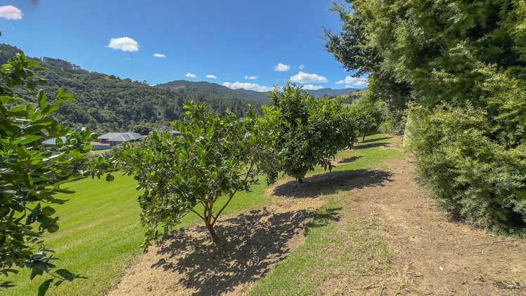 78B Bennett Road Te Mata_14