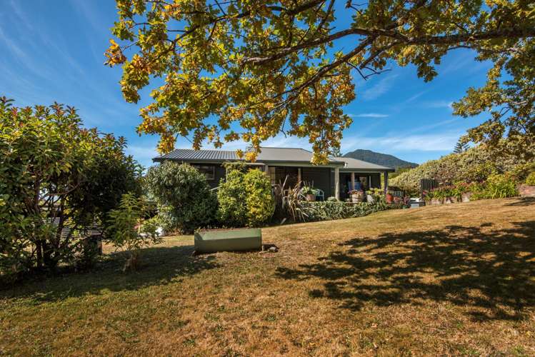 27a Dorset Street Picton_11