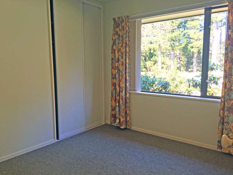 2 Homebush Road Glentunnel_9