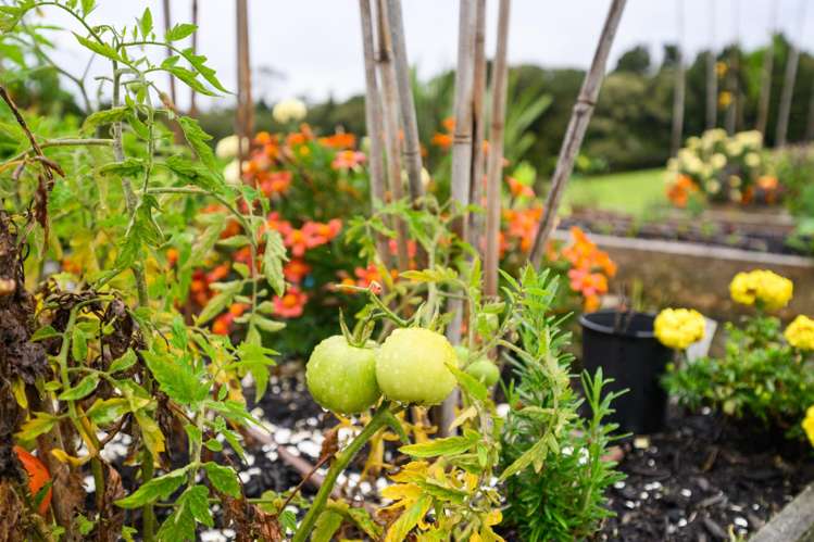 114 Pigs Head Road Whakapara_24