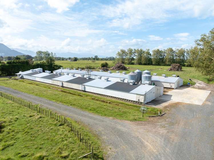 31 Te Kawana Road Te Aroha_6