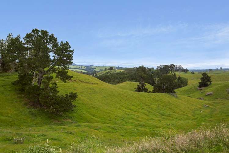 145 Palmer Mill Road Wairakei and Surrounds_34