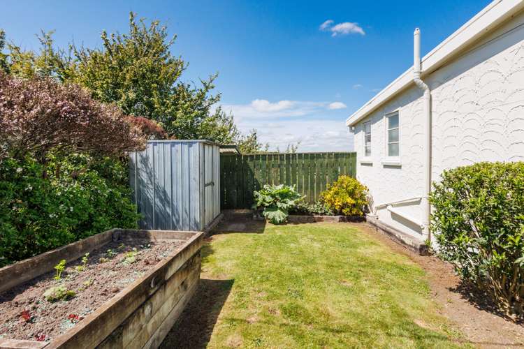 26 Criterion Street Bulls_9