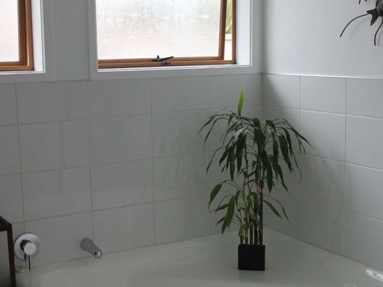 6 Haines Terrace Te Kuiti_6