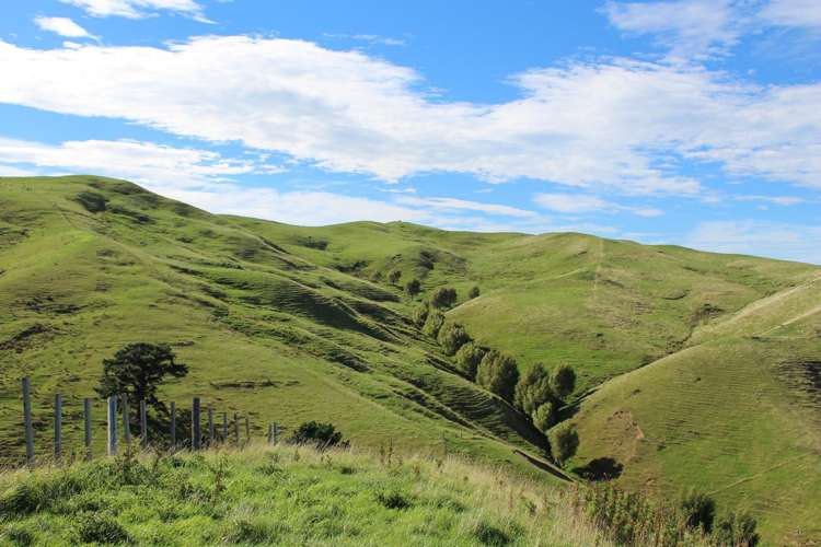 750 Otahome Road Otahome_16