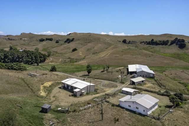 1002 Te Akau Road Te Akau_2