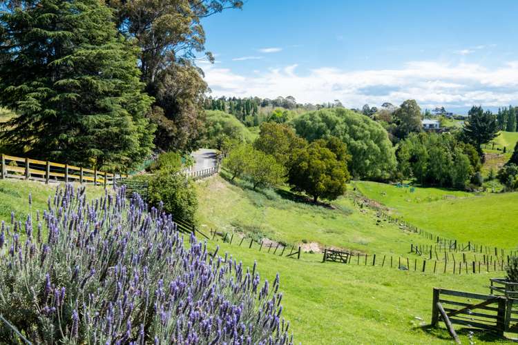 108 Lane Road Havelock North_13