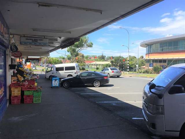 133 Line Road Glen Innes, Auckland City_2