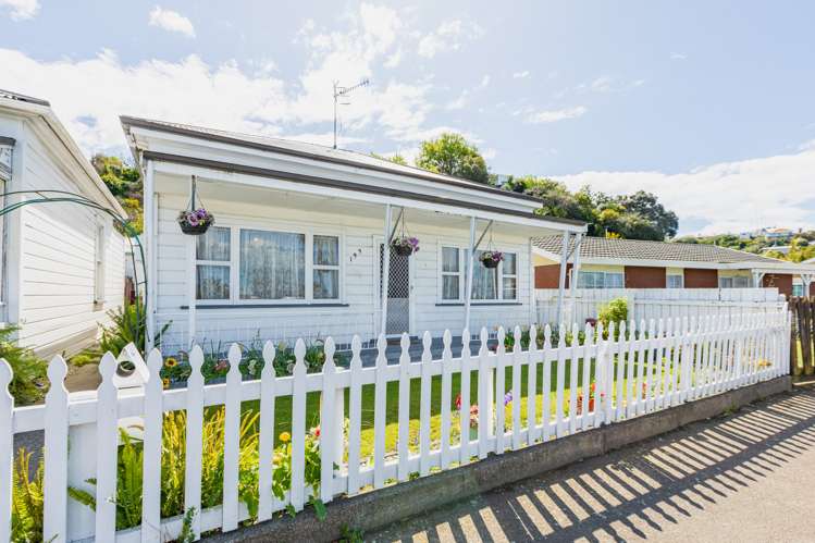 199 Carlyle Street Napier South_1