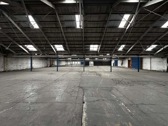 58 Sturdee Street Dunedin Central_4