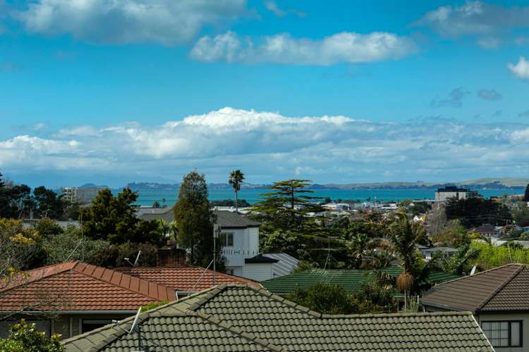 47 Forrest Hill Road_3