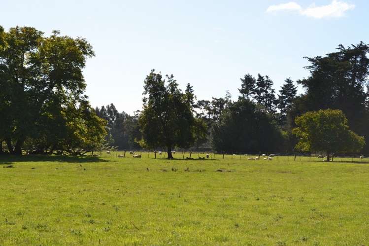 230 Bush Road Mosgiel_14