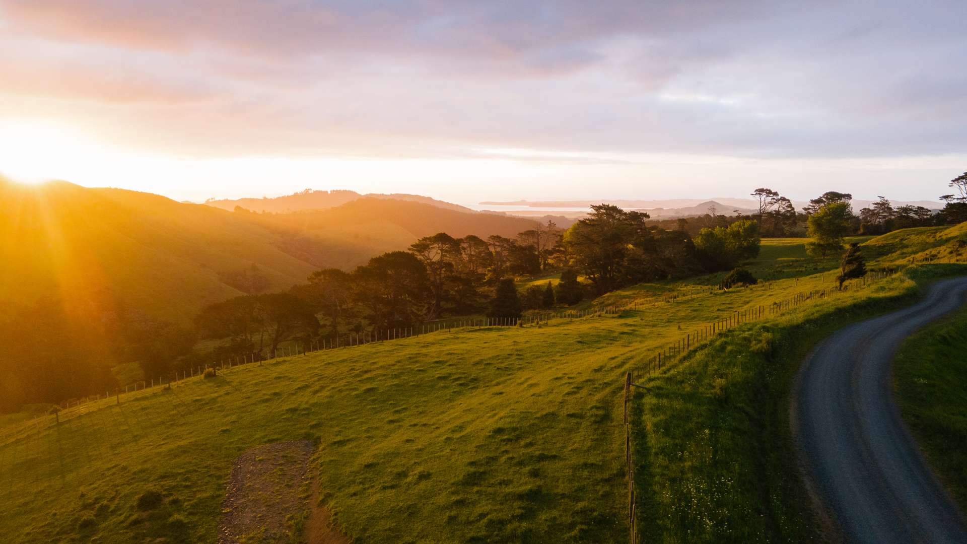 307 Dill Road Kaipara Flats_0